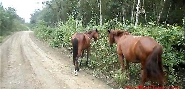  peeing next to horse in jungle